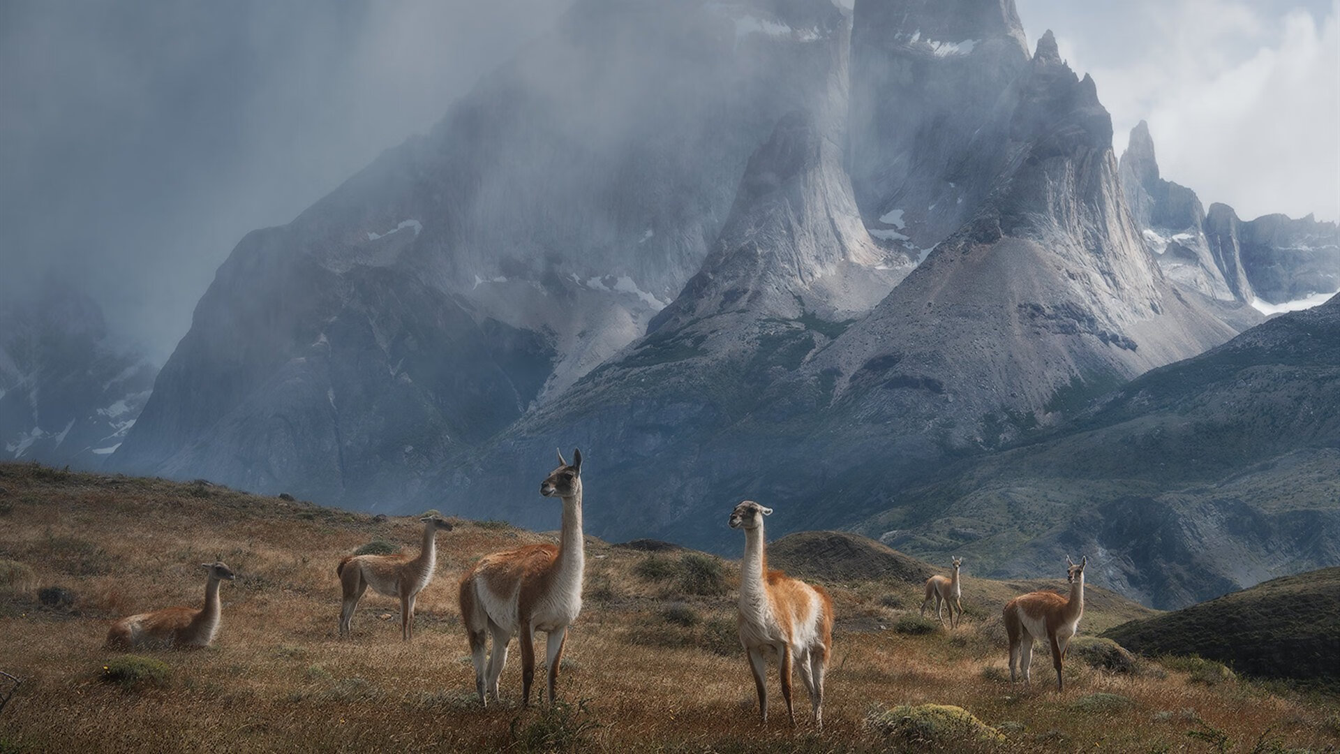广场舞进社区活动在各地开展，社区广场舞活动主题