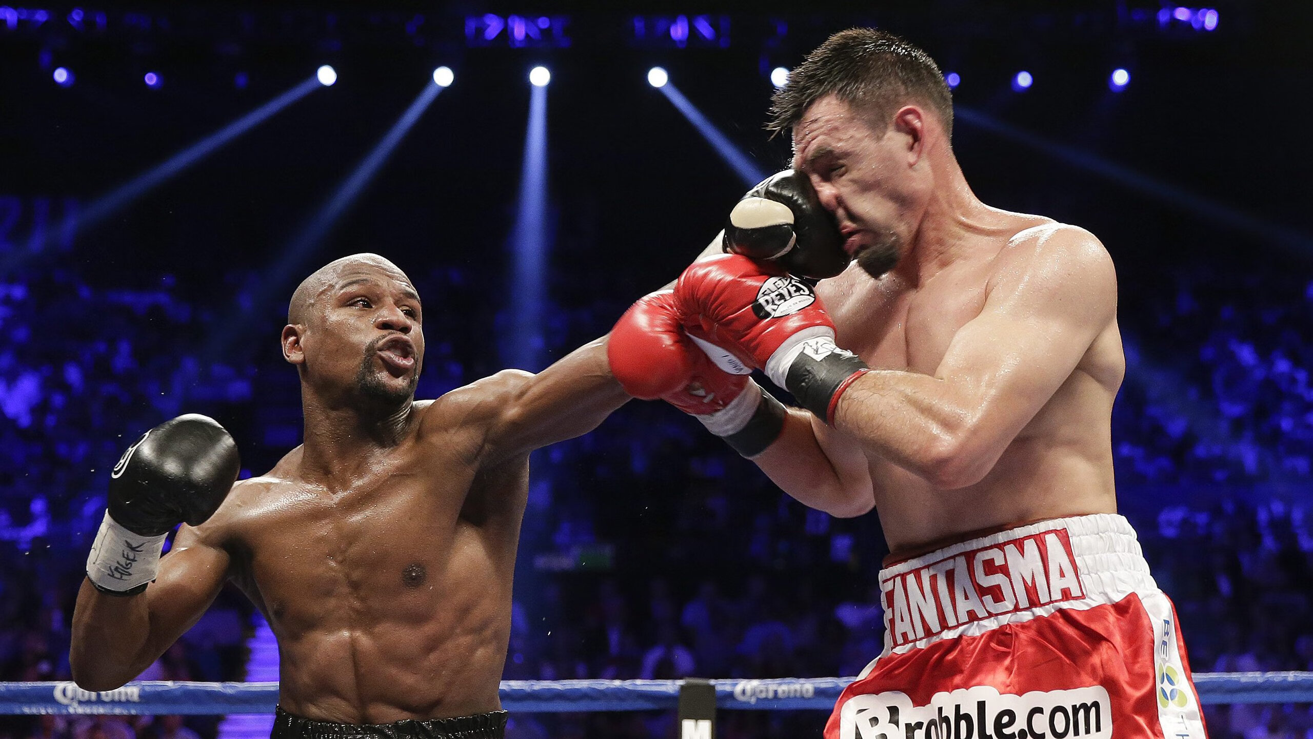 世界杯环境保护及绿色赛事,世界杯环境日手抄报