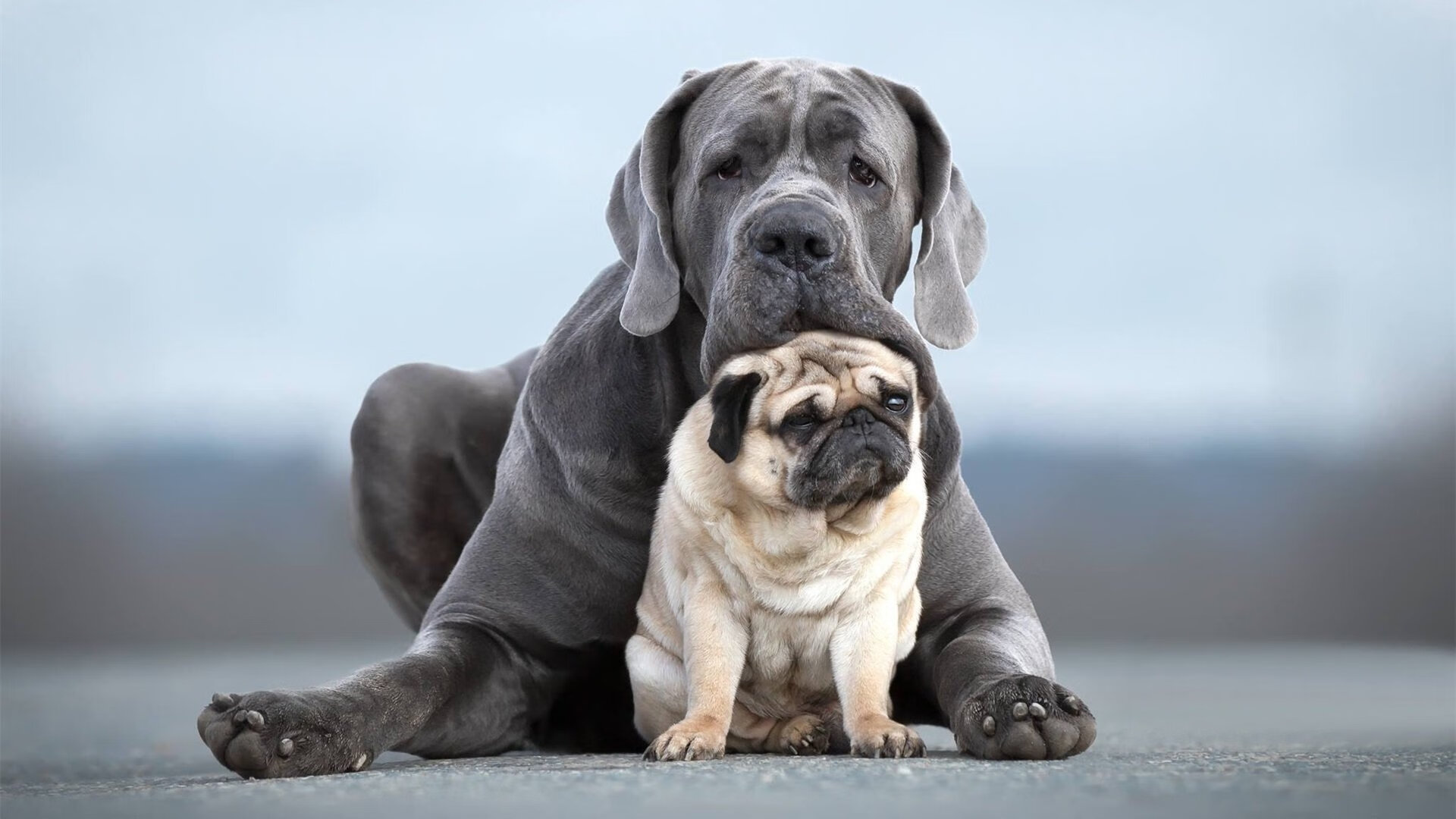 爱游戏智能体验-《英雄联盟洲际争霸赛，跨界对决掀起新高潮》，英雄联盟洲际赛7月开幕, we、rng等四支战队被邀请!