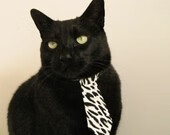 哥伦比亚队在巴黎奥运会比赛中多次通过二次进攻得分,哥伦比亚有多少奥运金牌